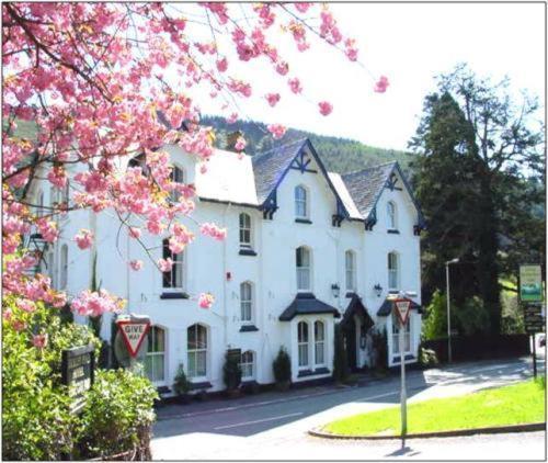 Buckley Arms Dinas Mawddwy Exterior foto